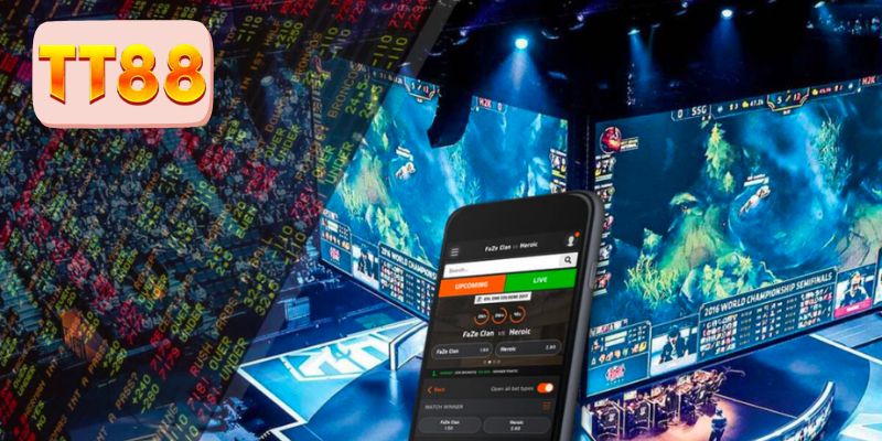 Những mẹo hay giúp hội viên tự tin cá cược 